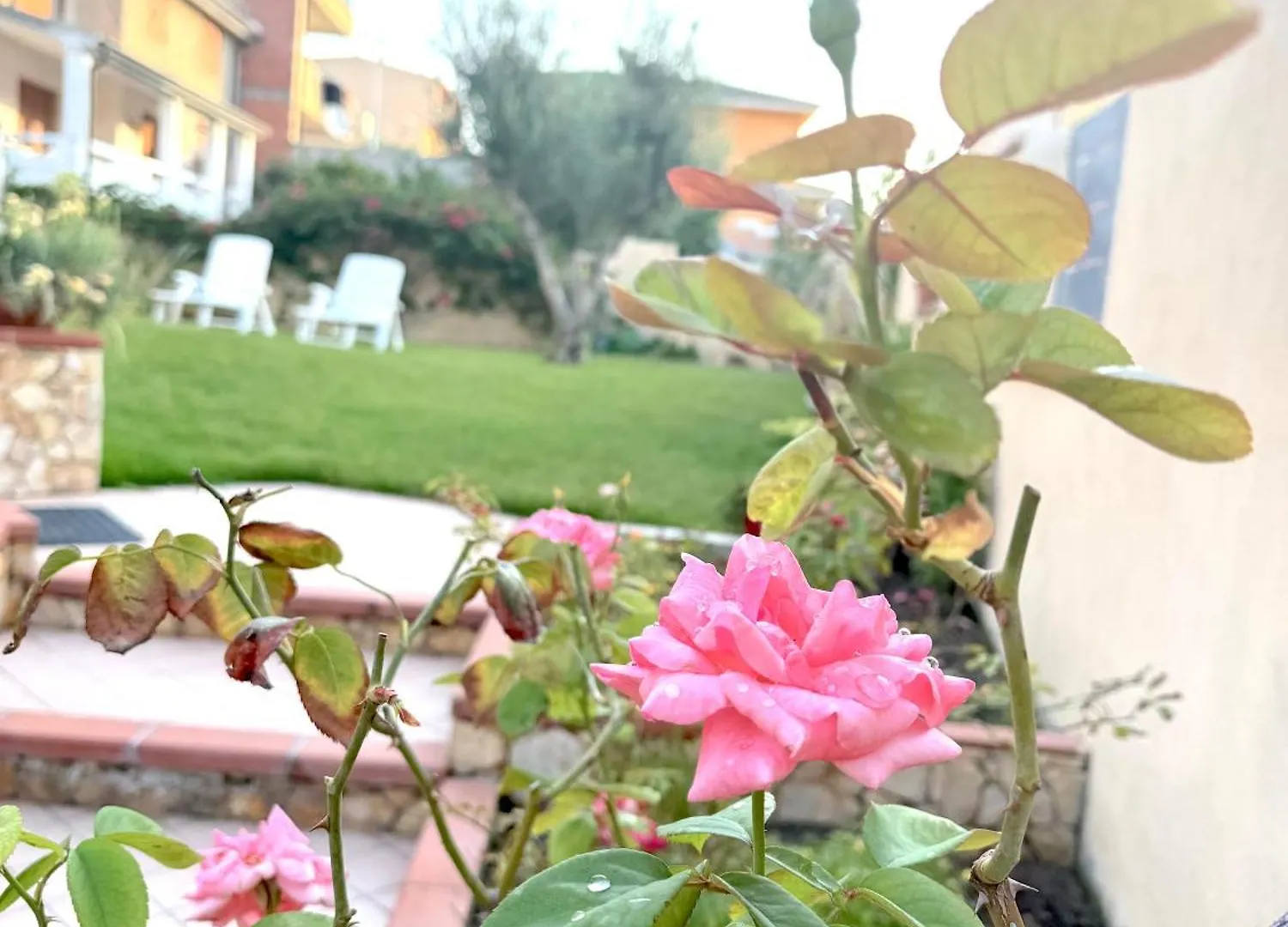 Appartamento Rosa's House - zona ospedaliera Cagliari