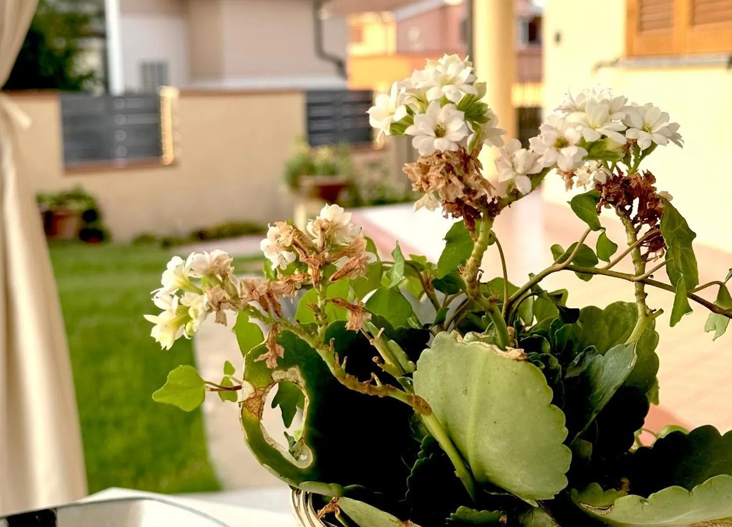 Appartamento Rosa's House - zona ospedaliera Cagliari